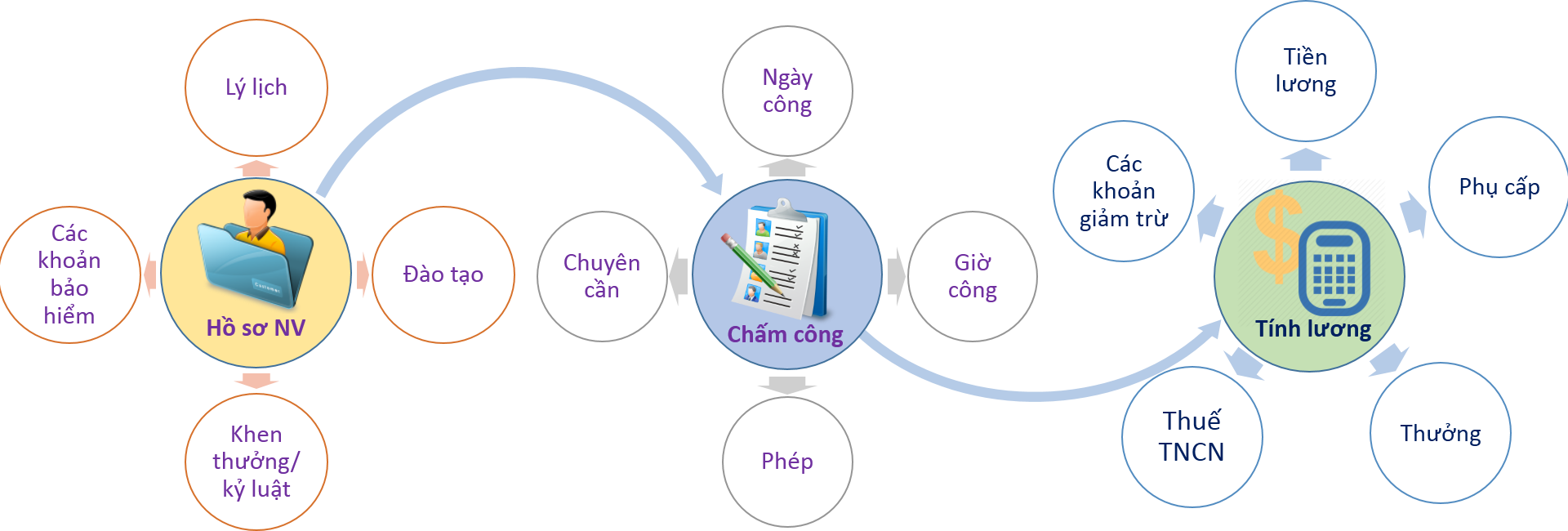 Dịch vụ quản trị nhân sự và tính lương (Payroll)