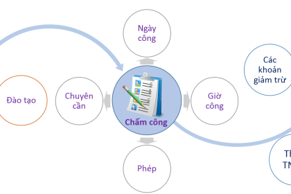 Dịch vụ quản trị nhân sự và tính lương (Payroll)